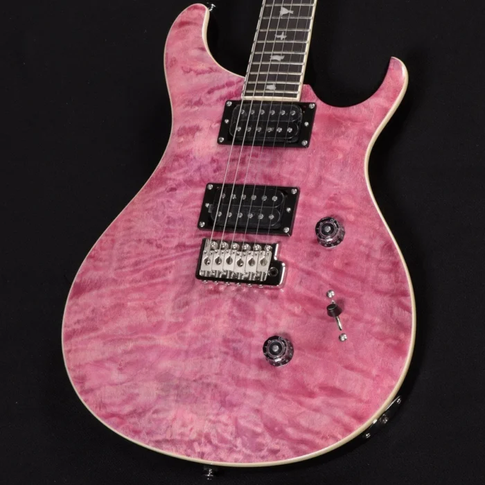 PRS SE Custom 24 VI - Image 1