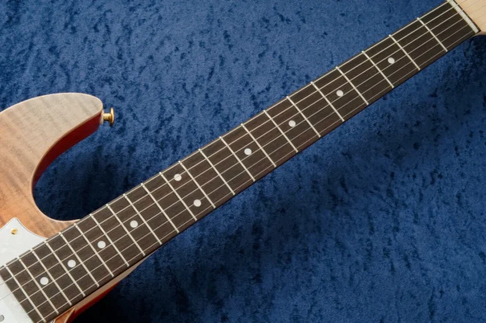 Fujigen (FGN) EOSN-FM-R Ripe Kaki Gradiation - Image 5