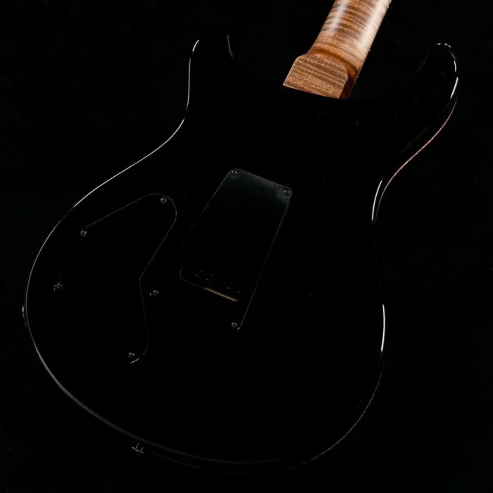 PRS 2025 DGT Semi-Hollow Pilot Run Custom Color (Sunburst) - Image 3