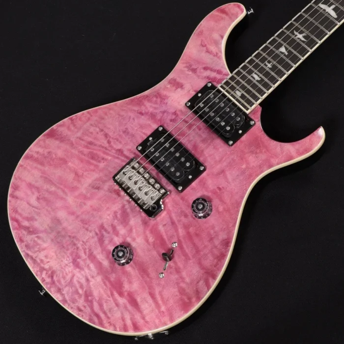 PRS SE Custom 24 VI - Image 13