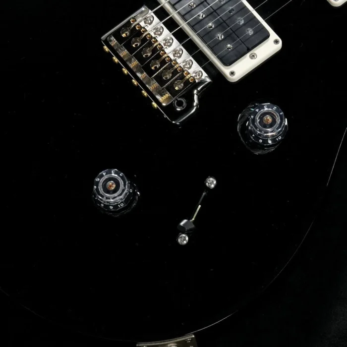 PRS 2025 Custom 24 Pattern Thin Neck (Black) - Image 11