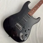 "Moon ""ST CLASSIC"" ST-C SSH(Transparent Black)"