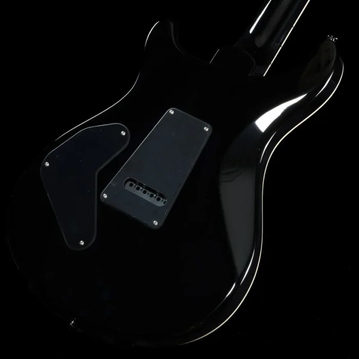 PRS SE Custom 24 Semi-Hollow Piezo (Charcoal Burst) - Image 3