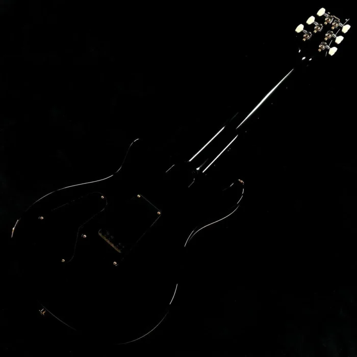 PRS 2025 Custom 24 10Top (Charcoal Burst) - Image 9