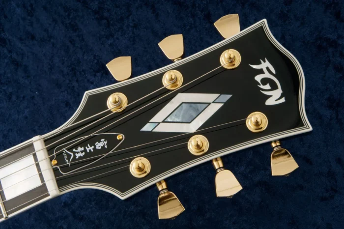 Fujigen LP (FGN) NLC200EMH 9Black) - Image 10