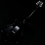 PRS 2025 Custom 24 Pattern Thin Neck (Black) - Image 9