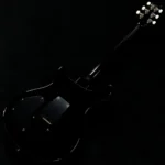 PRS 2024 DGT w/Bird Inlays 10Top Custom Color (Tri-Color Sunburst) - Image 9