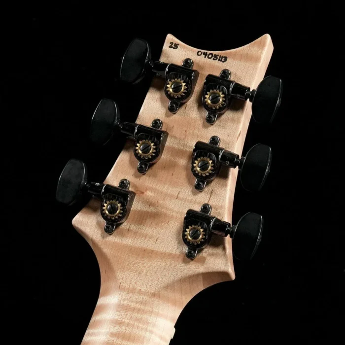 PRS 2025 Wood Library McCarty 594 Singlecut (Purple Mist Wraparound Smokeburst) - Image 7