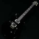 PRS 2025 Custom 24 Pattern Thin Neck (Black) - Image 8