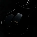 PRS 2024 DGT w/Bird Inlays 10Top Custom Color (Tri-Color Sunburst) - Image 3