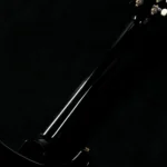 PRS 2024 DGT w/Bird Inlays 10Top Custom Color (Tri-Color Sunburst) - Image 5