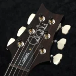 PRS 2025 Custom 24-08 10Top Pattern Thin Neck (Fire Smokeburst) - Image 8