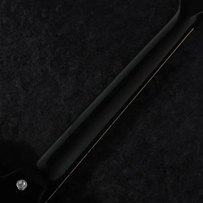 Gibson Firebird Platypus Ebony (Black) - Image 7