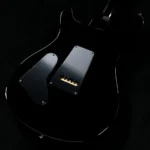 PRS 2025 Custom 24 Pattern Thin Neck (Black) - Image 3