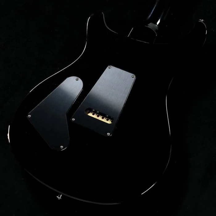 PRS 2025 Custom 24 Pattern Thin Neck (Black) - Image 3