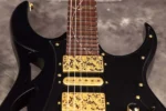 "Ibanez ""Paradise in Art"" Steve Vai signature PIA3761 Onyx Black Ibanez" - Image 12