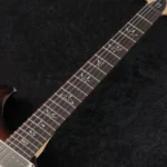 PRS 2025 CE 22 Limited Edition (Black Amber) - Image 8
