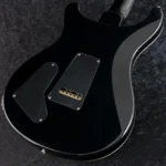 PRS 2025 Studio (Carroll Blue Smokeburst) Pattern Neck - Image 4