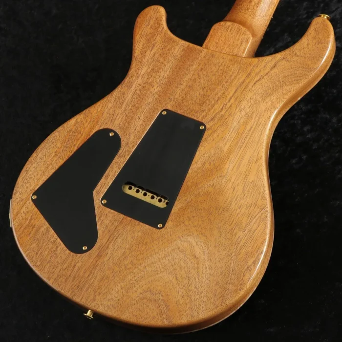 PRS 2024 Special Semi-Hollow 10-Top with Pattern Neck (Yellow Tiger) [Weight: 3.08kg] - Image 3