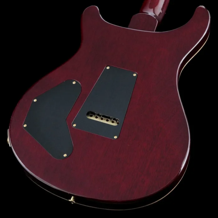 PRS 2025 DGT Birds 10-Top Guitar (Fire Red Burst) - Image 3