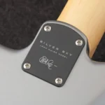 PRS 2021 John Mayer Signature Silver Sky Maple (Tungsten) - Image 10