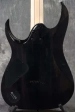 Ibanez RGA21P1PB-DRL (Deep Twilight Burst Low Gloss) [Serial Number I250407780] - Image 7