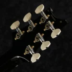 PRS 2024 Special Semi-Hollow 10-Top (Emerald) Pattern Neck (Weight: 3.19kg) - Image 8