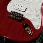 Fender Custom Shop Custom Built Stratocaster HSS NOS (Bing Cherry Transparent) "Special Order Model" - Image 12
