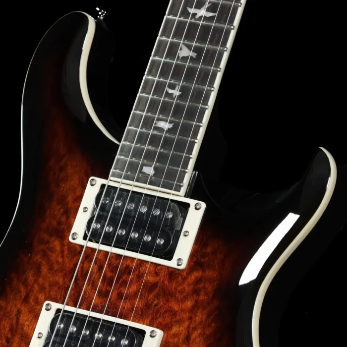 PRS SE Custom24 Quilt Package (Black Gold Sunburst) - Image 10