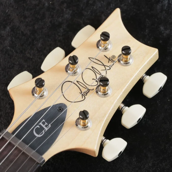 Paul Reed Smith (PRS) 2025 CE 22 Limited Edition (Faded Gray Black) - Image 6