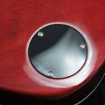 Gibson Les Paul Standard '60s AAA Top (Triburst) [Special Price] - Image 12