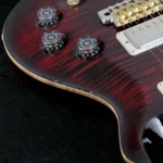 PRS 2025 DGT Birds 10-Top Guitar (Fire Red Burst) - Image 12