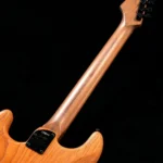 Fender FSR American Professional II Stratocaster HSS HT Roasted Maple Neck (Sandblasted) Aged Natural - Image 5