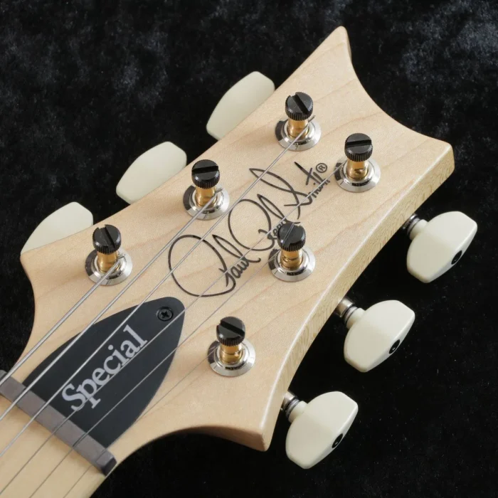 PRS 2025 Swamp Ash Special Maple (Black Doghair Smokeburst) - Image 6