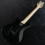PRS 2025 Swamp Ash Special Maple (Black Doghair Smokeburst) - Image 5