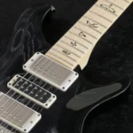 PRS 2025 Swamp Ash Special Maple (Black Doghair Smokeburst) - Image 10