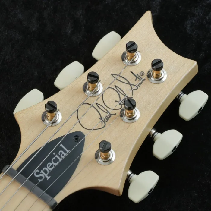 PRS 2025 Swamp Ash Special (Maple White Doghair Smokeburst) [weight: 3.22kg] - Image 6