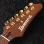 Ibanez Lari Basilio Signature Model LB1 (Black) - Image 6