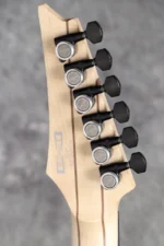 Ibanez RGA21P1PB-DRL (Deep Twilight Burst Low Gloss) [Serial Number I250407780] - Image 9