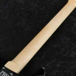PRS 2025 Swamp Ash Special Maple (Black Doghair Smokeburst) - Image 9