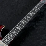 PRS 2025 DGT Birds 10-Top Guitar (Fire Red Burst) - Image 6