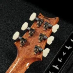 PRS Modern Eagle V 10-Top (Carroll Blue) Pattern Neck 2025 - Image 9