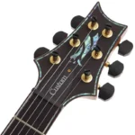 PRS Wood Library Custom24 McCarty Thickness Espresso [SN.0340179] [2022 Production Model] - Image 11