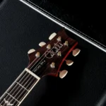 PRS 2024 McCarty 594 - 10-Top (McCarty Sunburst) Pattern Vintage Neck - Image 8