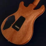 PRS 509 10-Top (Eriza Verde) [2022 Model/3.62kg] - Image 5
