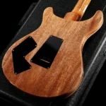 PRS Modern Eagle V 10-Top (Carroll Blue) Pattern Neck 2025 - Image 3