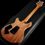 PRS Modern Eagle V 10-Top (Carroll Blue) Pattern Neck 2025 - Image 5