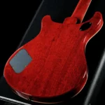 PRS 2024 McCarty 594 - 10-Top (McCarty Sunburst) Pattern Vintage Neck - Image 3